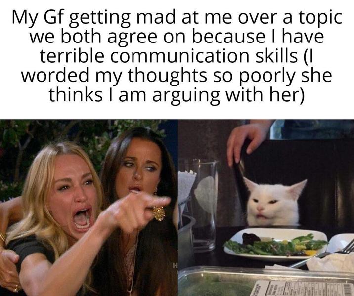 My Gf getting mad at me over a topic we both agree on because I have terrible communication skills (I worded my thoughts so poorly she thinks I am arguing with her) H