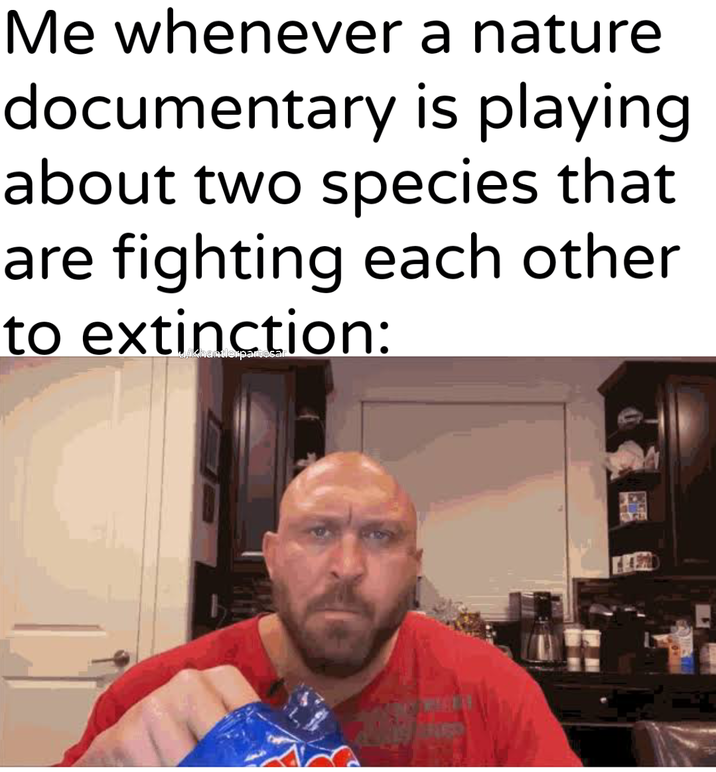 Me whenever a nature documentary is playing. about two species that are fighting each other to extinction: antlerpartesal