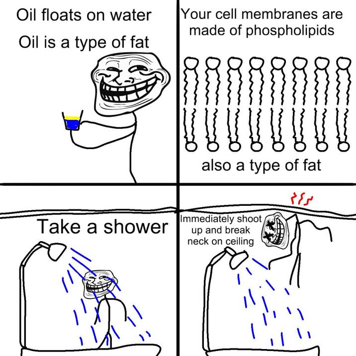 Oil floats on water Oil is a type of fat Your cell membranes are made of phospholipids Take a shower V V V V V V also a type of fat Immediately shoot up and break neck on ceiling ۴۴۲