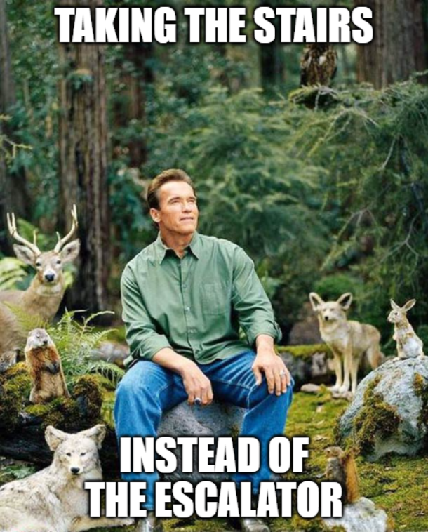 TAKING THE STAIRS INSTEAD OF THE ESCALATOR