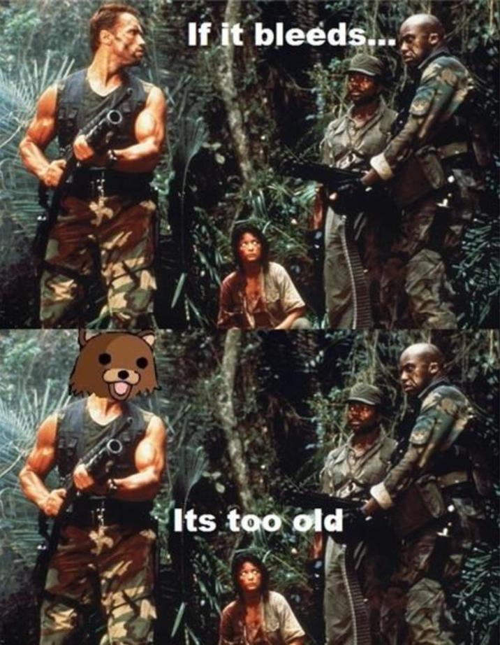 If it bleeds... Its too old
