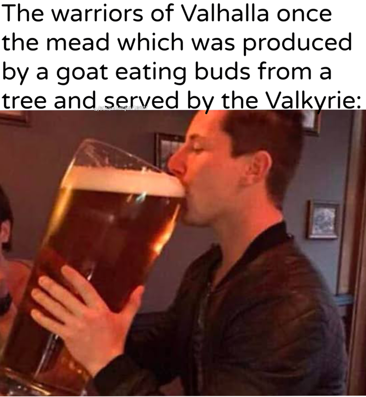 The warriors of Valhalla once the mead which was produced by a goat eating buds from a tree and served by the Valkyrie: