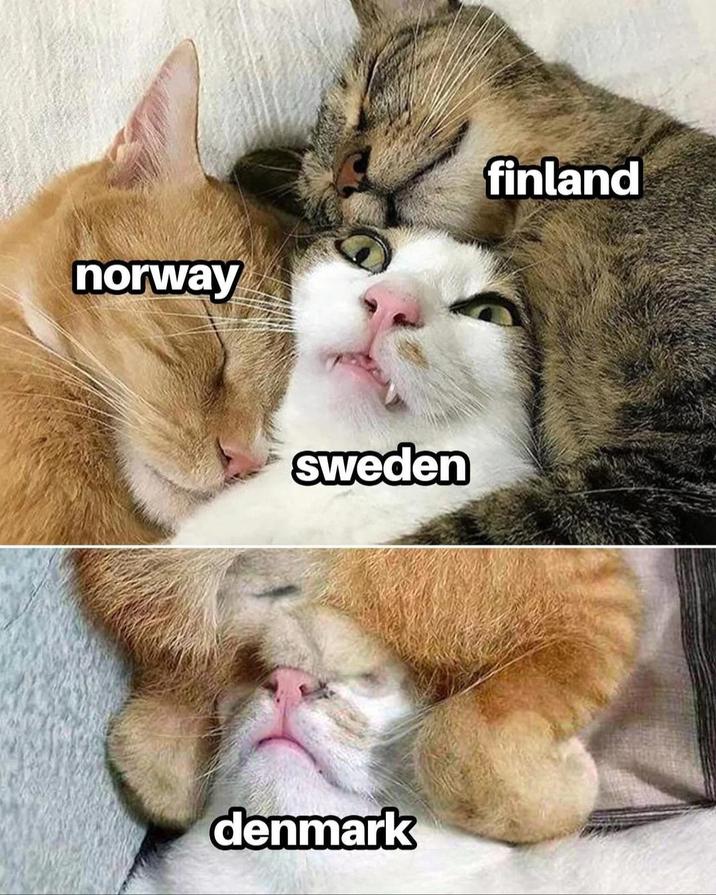 norway finland sweden denmark