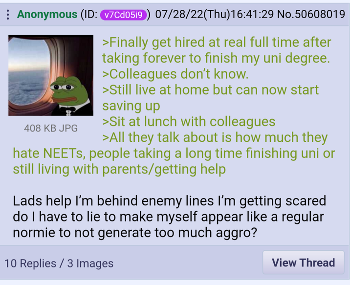 Anonymous (ID: v7cd0519) 07/28/22(Thu)16:41:29 No.50608019 408 KB JPG >Finally get hired at real full time after taking forever to finish my uni degree. >Colleagues don't know. >Still live at home but can now start saving up >Sit at lunch with colleagues >All they talk about is how much they hate NEETs, people taking a long time finishing uni or still living with parents/getting help Lads help I'm behind enemy lines I'm getting scared do I have to lie to make myself appear like a regular normie to not generate too much aggro? 10 Replies / 3 Images View Thread