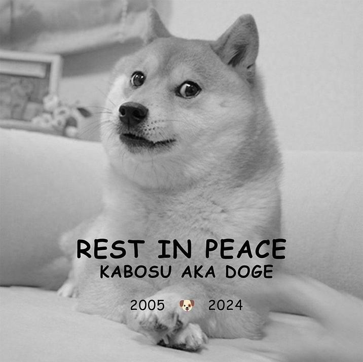 REST IN PEACE KABOSU AKA DOGE 2005 2024