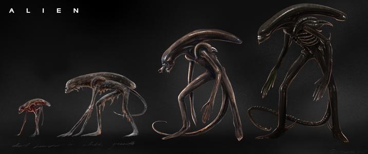 ALIEN cheet forfer F Kiracuriee 2025