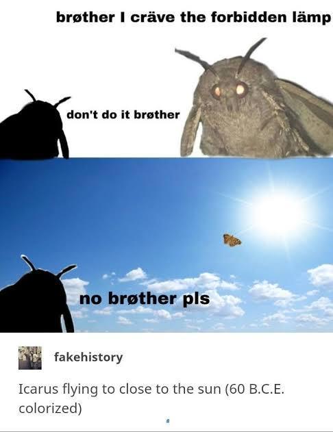 brøther I cräve the forbidden lämp don't do it brother no brøther pls fakehistory Icarus flying to close to the sun (60 B.C.E. colorized)