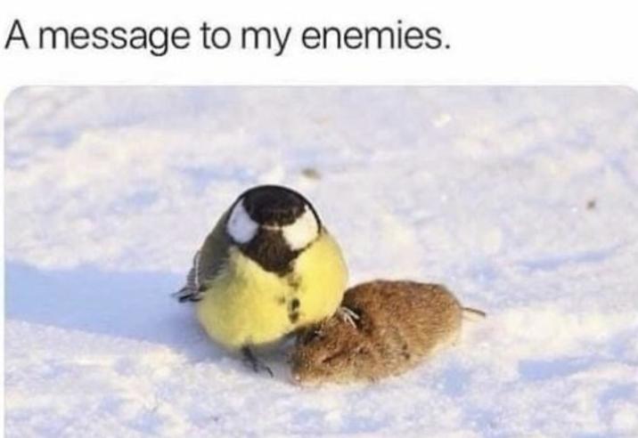 A message to my enemies.