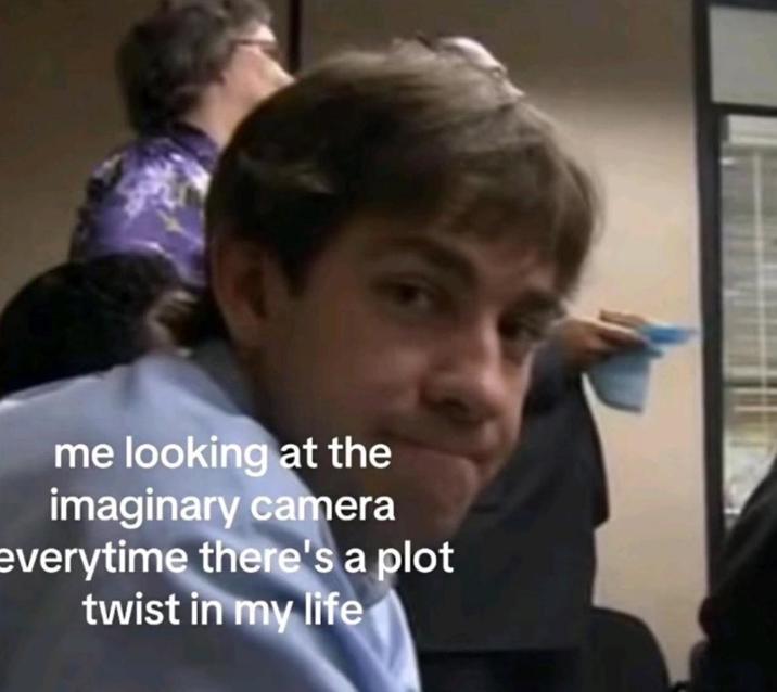 me looking at the imaginary camera everytime there's a plot twist in my life