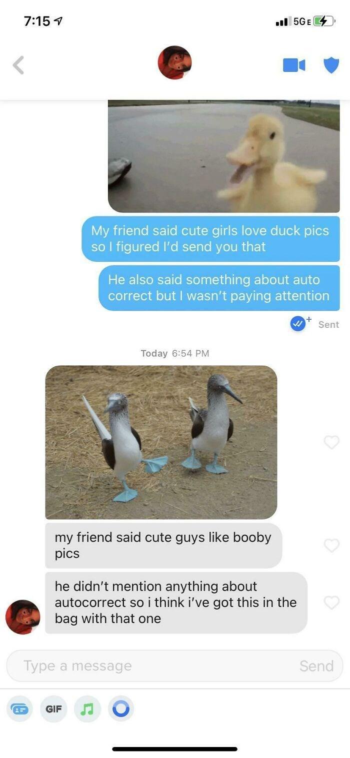 < 7:15 1 5GE My friend said cute girls love duck pics so I figured I'd send you that He also said something about auto correct but I wasn't paying attention Today 6:54 PM my friend said cute guys like booby pics he didn't mention anything about autocorrect so i think i've got this in the bag with that one Type a message GIF Sent Send