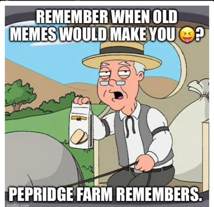 REMEMBER WHEN OLD MEMES WOULD MAKE YOU D PEPRIDGE FARM REMEMBERS. imaflip.com P