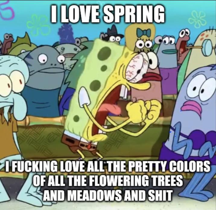 I LOVE SPRING I F------ LOVE ALL THE PRETTY COLORS OF ALL THE FLOWERING TREES AND MEADOWS AND S---