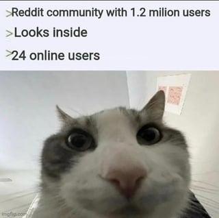 >Reddit community with 1.2 milion users >Looks inside 24 online users imgflip.com