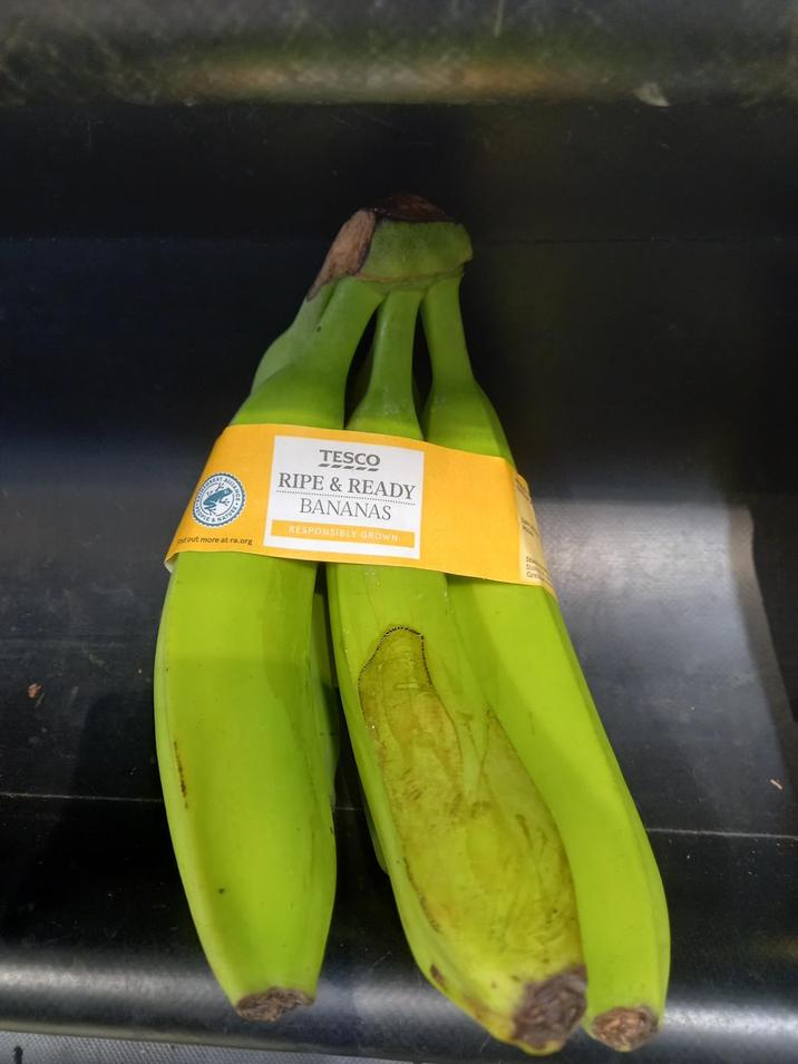 NATURE nd out more at ra.org TESCO RIPE & READY BANANAS RESPONSIBLY GROWN SLOP Gre