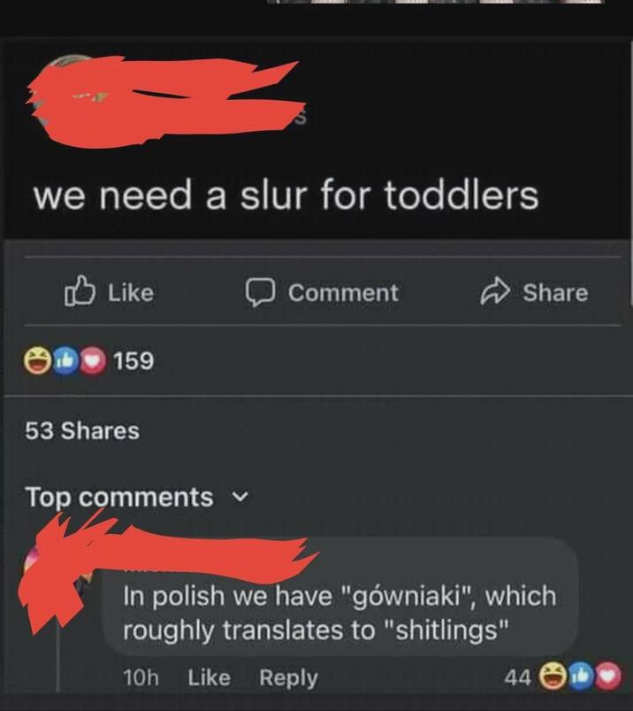 we need a slur for toddlers d Like 159 53 Shares Top comments ✓ Comment Share In polish we have "gówniaki", which roughly translates to "shitlings" 10h Like Reply 44