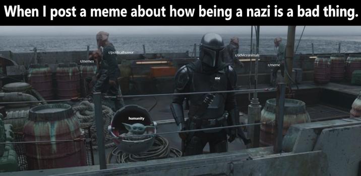 When I post a meme about how being a nazi is a bad thing. r/politicalhumor r/memes humanity me r/adviceanimals r/meme