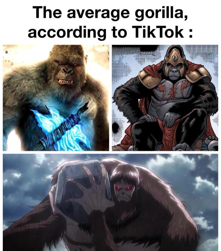 The average gorilla, according to TikTok: