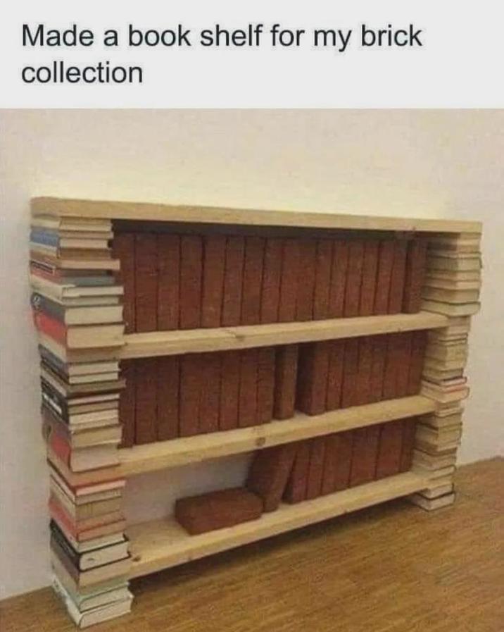 Made a book shelf for my brick collection
