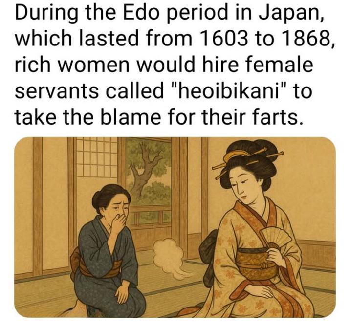 During the Edo period in Japan, which lasted from 1603 to 1868, rich women would hire female servants called "heoibikani" to take the blame for their farts.