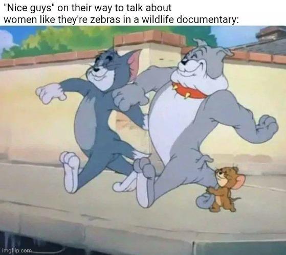 "Nice guys" on their way to talk about women like they're zebras in a wildlife documentary: imgflip.com