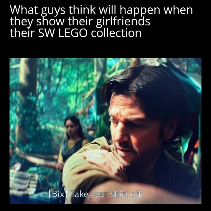 What guys think will happen when they show their girlfriends their SW LEGO collection [Bix] Take your shirt off.