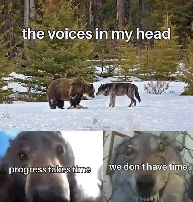 the voices in my head progress takes time we don't have time