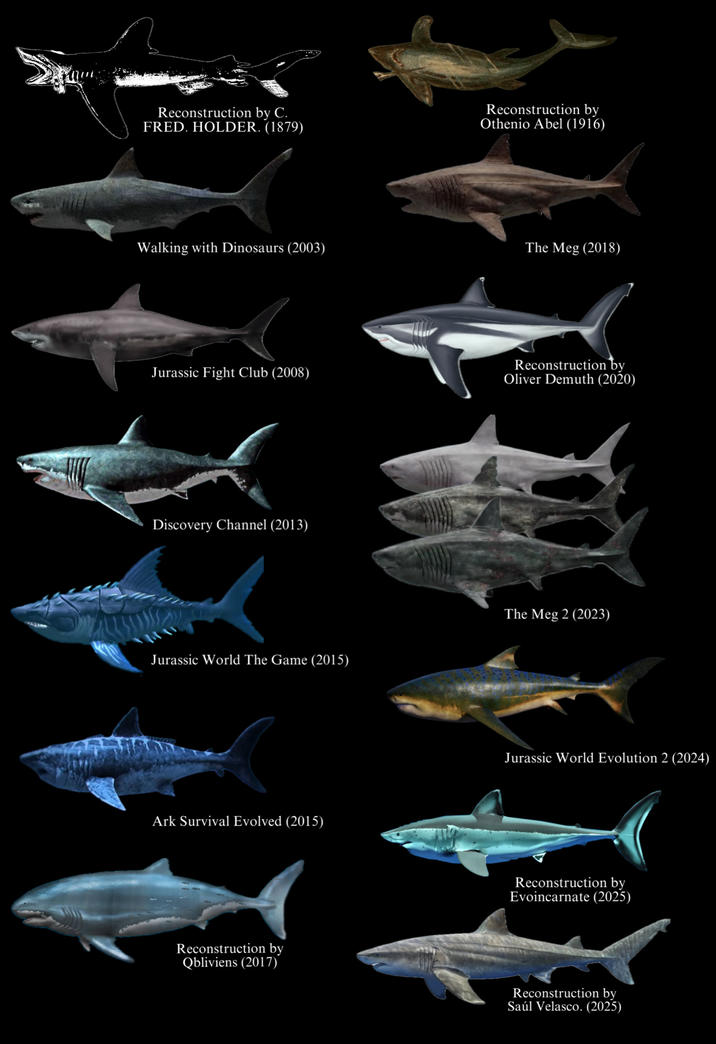 Reconstruction by C. FRED. HOLDER. (1879) Reconstruction by Othenio Abel (1916) Walking with Dinosaurs (2003) The Meg (2018) Jurassic Fight Club (2008) Discovery Channel (2013) Reconstruction by Oliver Demuth (2020) Jurassic World The Game (2015) The Meg 2 (2023) Ark Survival Evolved (2015) Reconstruction by Qbliviens (2017) Jurassic World Evolution 2 (2024) Reconstruction by Evoincarnate (2025) Reconstruction by Saúl Velasco. (2025)