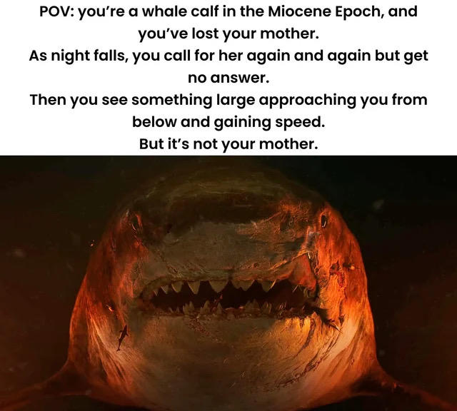 POV: you're a whale calf in the Miocene Epoch, and you've lost your mother. As night falls, you call for her again and again but get no answer. Then you see something large approaching you from below and gaining speed. But it's not your mother.