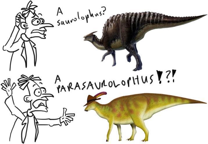 A saurolophus? A PARASAUROLOPHUS !?! D