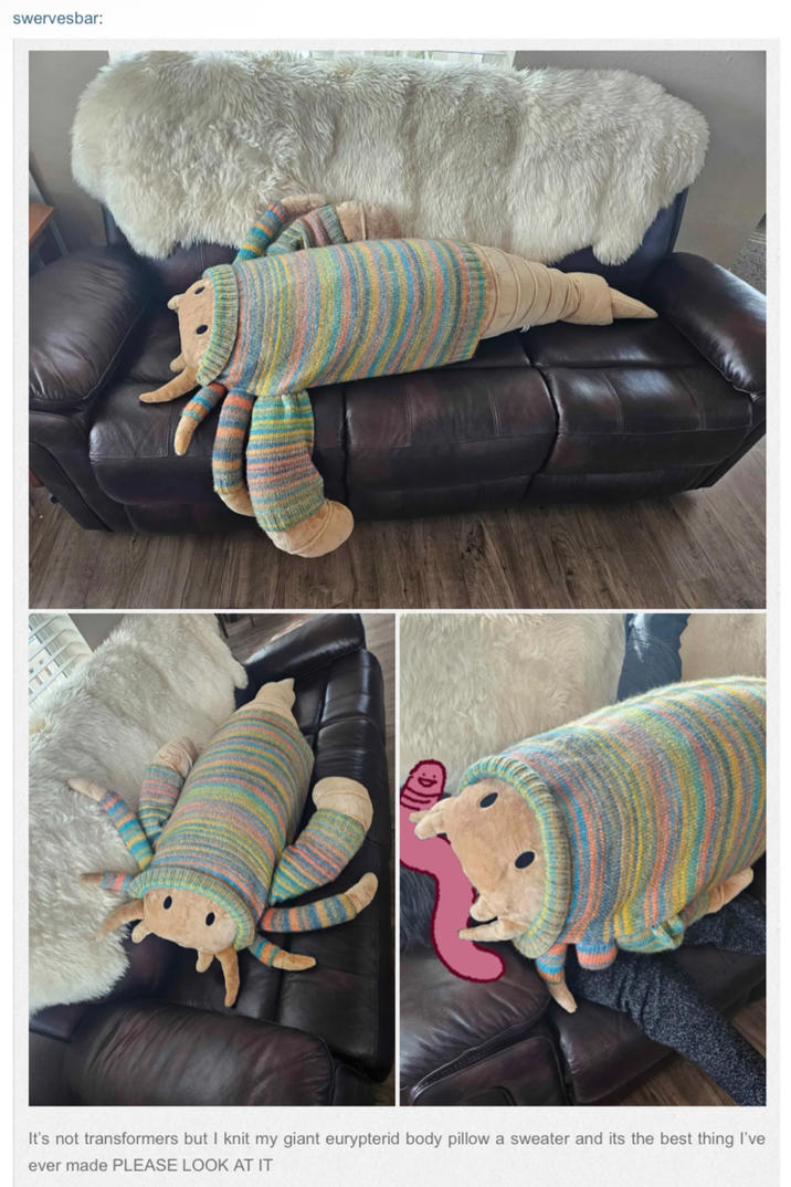 swervesbar: It's not transformers but I knit my giant eurypterid body pillow a sweater and its the best thing I've ever made PLEASE LOOK AT IT