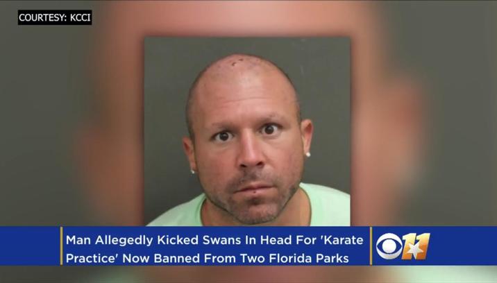 COURTESY: KCCI Man Allegedly Kicked Swans In Head For 'Karate Practice' Now Banned From Two Florida Parks