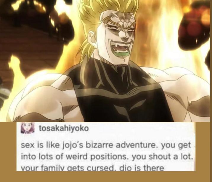 tosakahiyoko sex is like jojo's bizarre adventure. you get into lots of weird positions. you shout a lot. your family gets cursed. dio is there