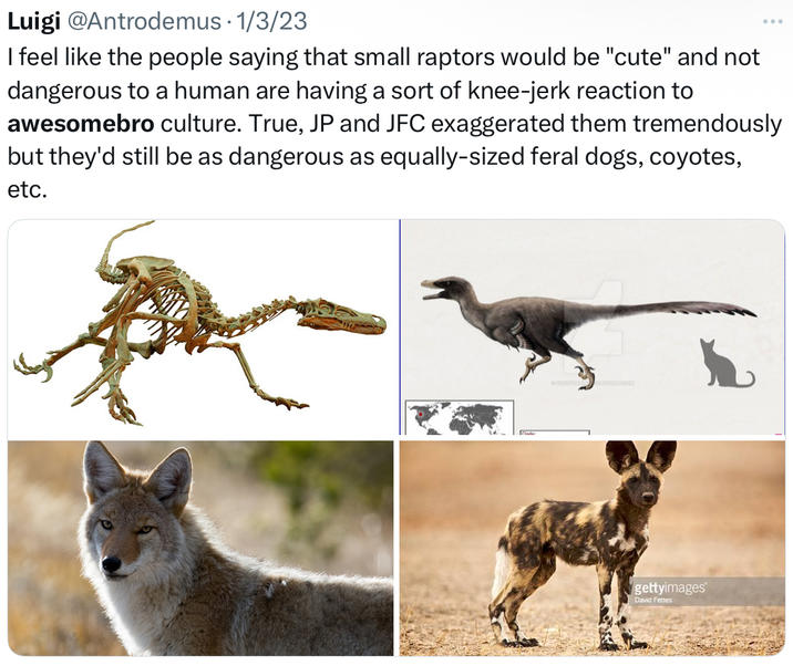 Luigi @Antrodemus · 1/3/23 I feel like the people saying that small raptors would be "cute" and not dangerous to a human are having a sort of knee-jerk reaction to awesomebro culture. True, JP and JFC exaggerated them tremendously but they'd still be as dangerous as equally-sized feral dogs, coyotes, etc. gettyimages David Fettes