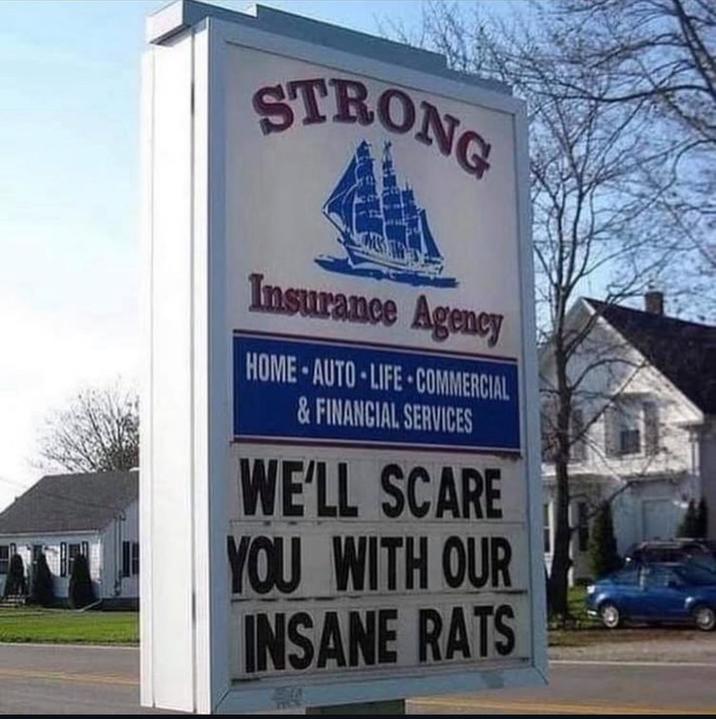 STRONG Insurance Agency HOME-AUTO-LIFE-COMMERCIAL & FINANCIAL SERVICES WE'LL SCARE YOU WITH OUR INSANE RATS