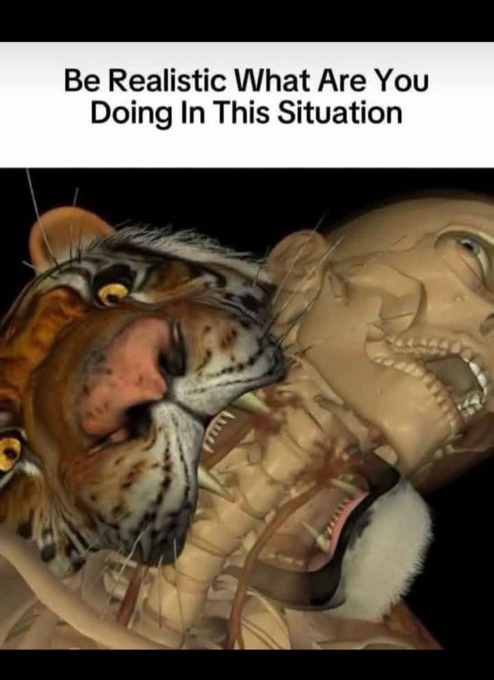 Be Realistic What Are You Doing In This Situation