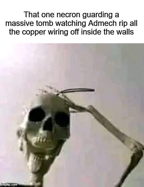 That one necron guarding a massive tomb watching Admech rip all the copper wiring off inside the walls imgflip.com
