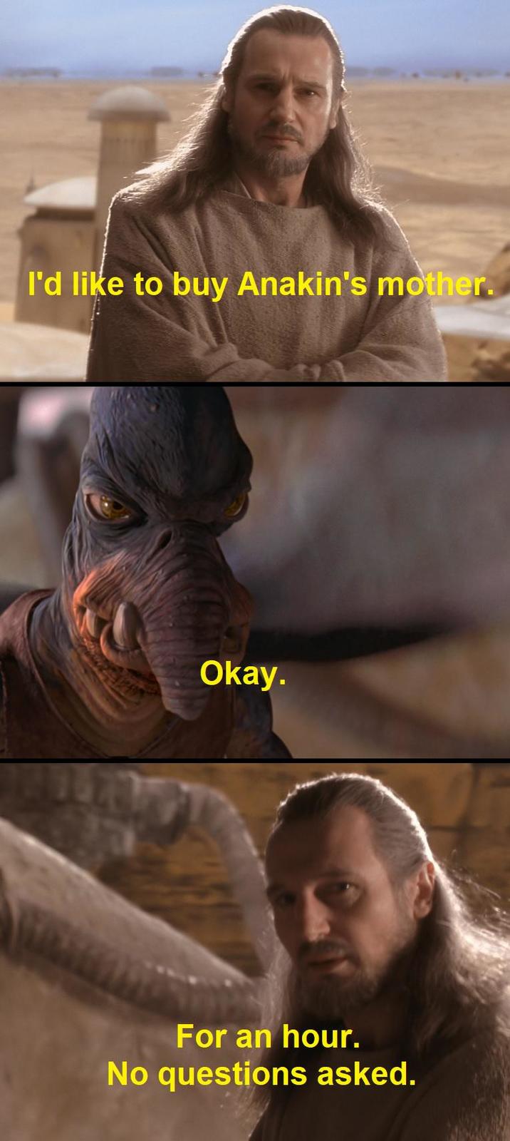 I'd like to buy Anakin's mother. Okay. For an hour. No questions asked.