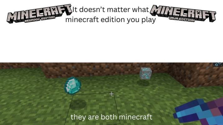 MINECRAFIt doesn't matter what MINECRAFT BEDROCK EDITION, minecraft edition you play JAVA EDITION they are both minecraft