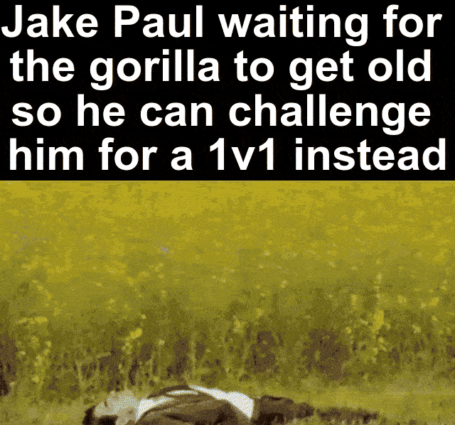 Jake Paul waiting for the gorilla to get old so he can challenge him for a 1v1 instead