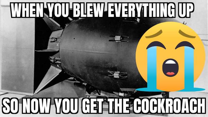 WHEN YOU BLEW EVERYTHING UP SO NOW YOU GET THE COCKROACH
