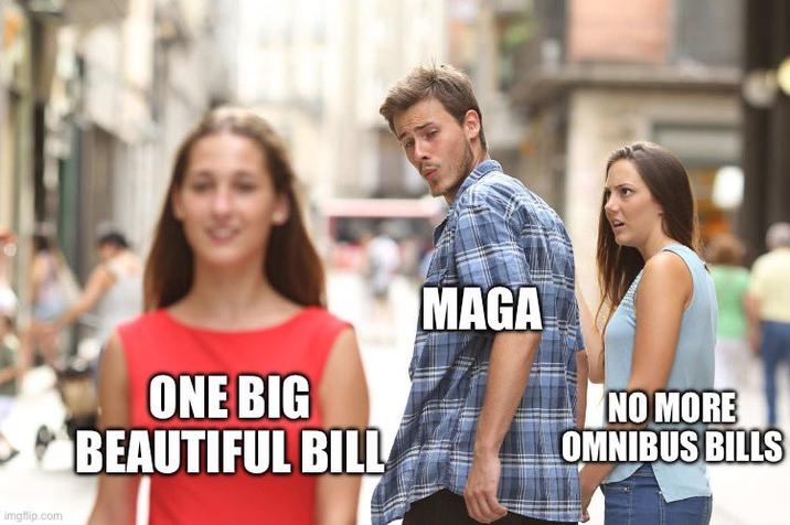 imgflip.com ONE BIG BEAUTIFUL BILL MAGA NO MORE OMNIBUS BILLS