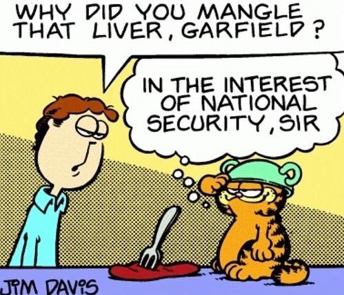 WHY DID YOU MANGLE THAT LIVER, GARFIELD? IN THE INTEREST OF NATIONAL SECURITY, SIR JIM DAVIS
