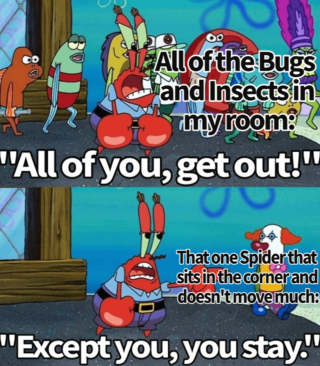 00 All of the Bugs and Insects in my room: "All of you, get out!" That one Spider that sits in the corner and doesn't move much: "Except you, you stay.!!