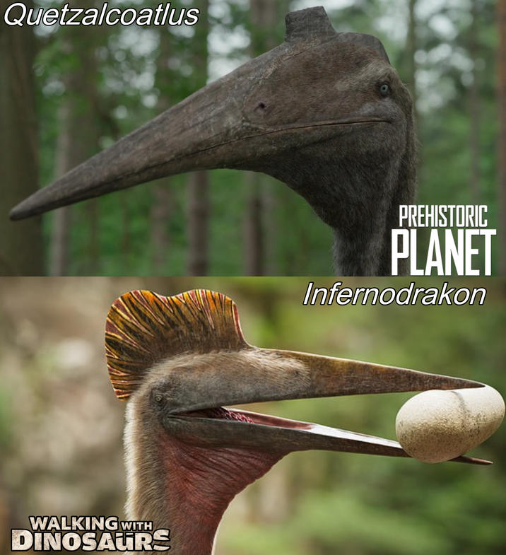 Quetzalcoatlus WALKING WITH DINOSAURS PREHISTORIC PLANET Infernodrakon