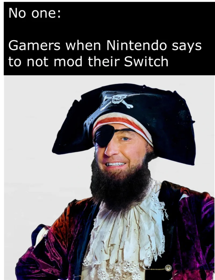 No one: Gamers when Nintendo says to not mod their Switch