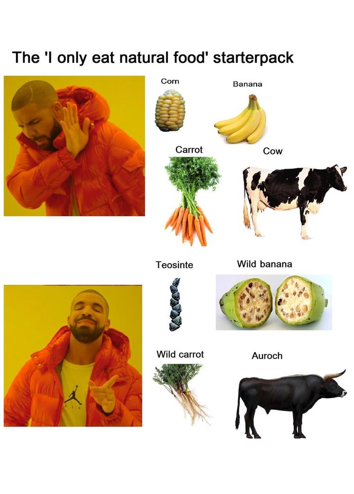 The 'I only eat natural food' starterpack Corn Banana AIR Carrot Cow Teosinte Wild banana Wild carrot Auroch