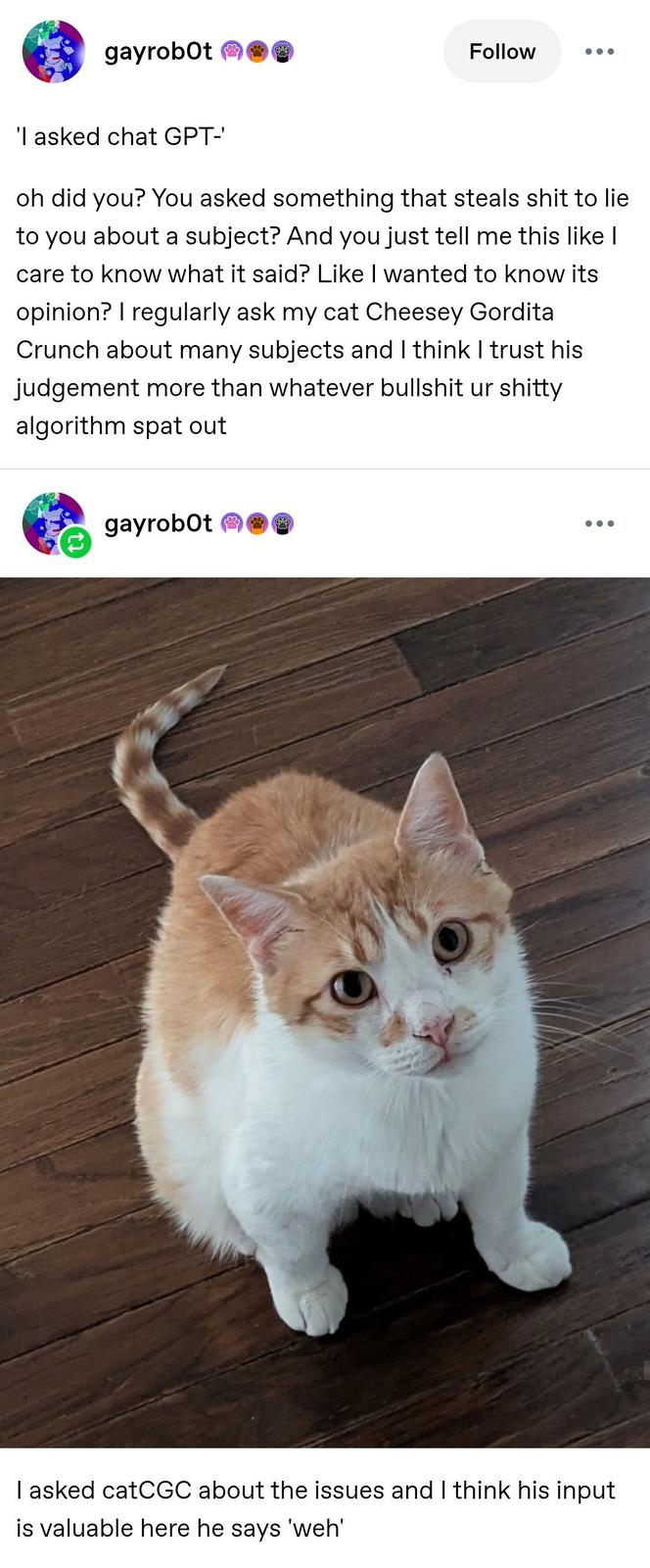 'I asked chat GPT-' gayrobot Follow 'I asked chat GPT-' oh did you? You asked something that steals s--- to lie to you about a subject? And you just tell me this like I care to know what it said? Like I wanted to know its opinion? I regularly ask my cat Cheesey Gordita Crunch about many subjects and I think I trust his judgement more than whatever b------- ur s----- algorithm spat out gayrobot I asked catCGC about the issues and I think his input is valuable here he says 'weh'