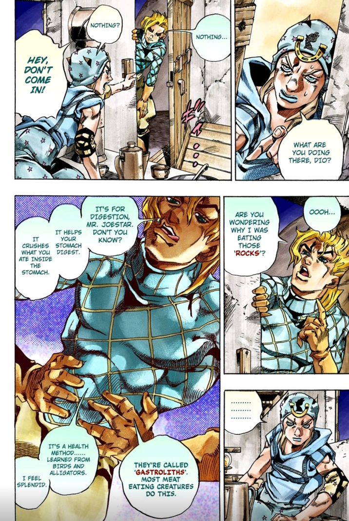 HEY, DON'T COME IN! IT HELPS IT YOUR CRUSHES STOMACH WHAT YOU DIGEST. ATE INSIDE THE STOMACH. NOTHING? NOTHING... 0 WHAT ARE YOU DOING THERE, DIO? IT'S FOR DIGESTION, MR. JOESTAR. DON'T YOU KNOW? ARE YOU WONDERING WHY I WAS EATING THOSE 'ROCKS'? OOOH... I FEEL SPLENDID. IT'S A HEALTH METHOD...... LEARNED FROM BIRDS AND ALLIGATORS. THEY'RE CALLED 'GASTROLITHS'. MOST MEAT EATING CREATURES DO THIS.