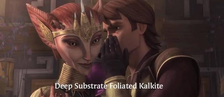 We finally know what Anakin said | /r/PrequelMemes | Know Your Meme