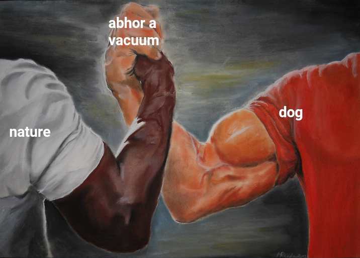 nature abhor a vacuum dog Manda